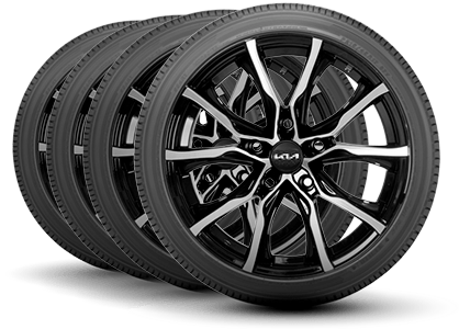 Tameron Kia in D'Iberville MS