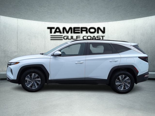 2023 Hyundai Tucson Hybrid Blue