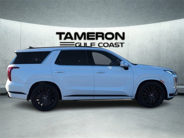 2024 Hyundai Palisade Calligraphy Night Edition