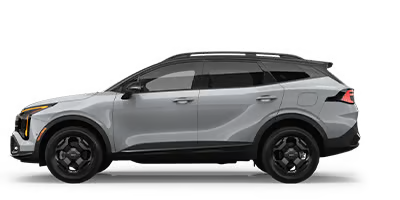 Tameron Kia in D'Iberville MS