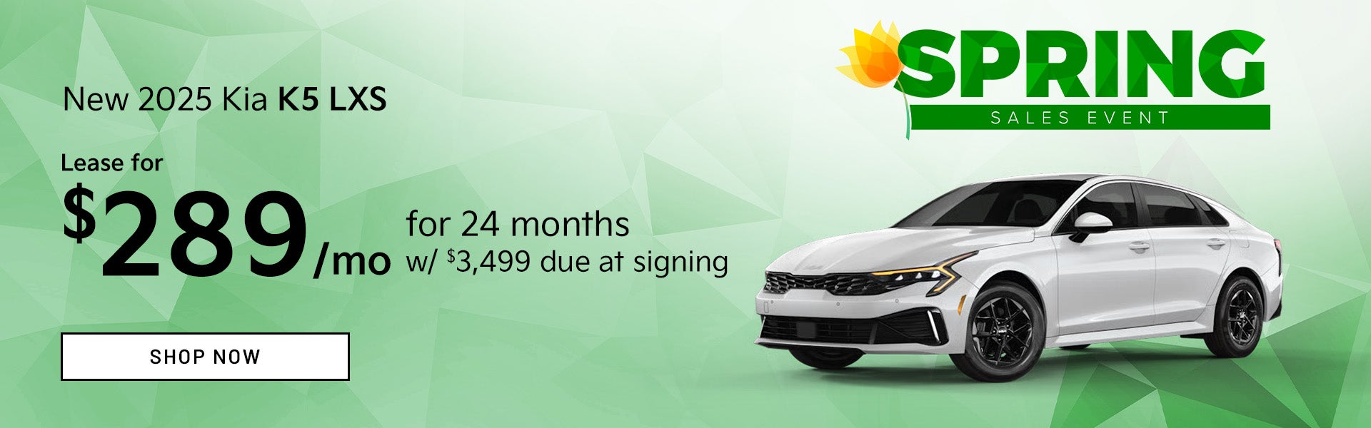New 2025 Kia K5 LXS